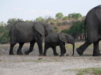 Botswana und Victoriafälle 2016