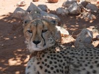 Namibia 2016