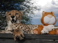Namibia und Botswana 2017