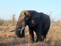 Südafrika, Swasiland und Mosambik 2014