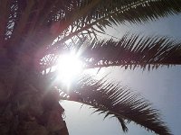 spain01